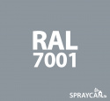 Vattenbaserad Spray Silvergr RAL 7001 350 ml